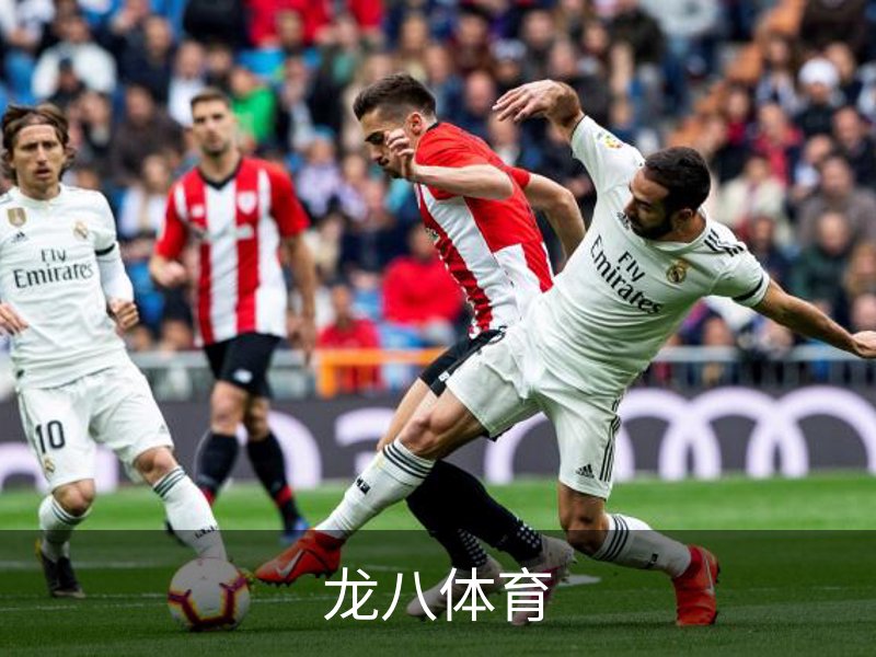 龙八体育介绍